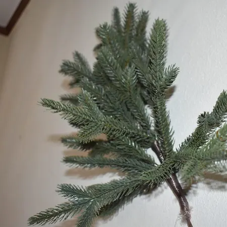 ゲストハウス Hostalrural Elbosque Delola